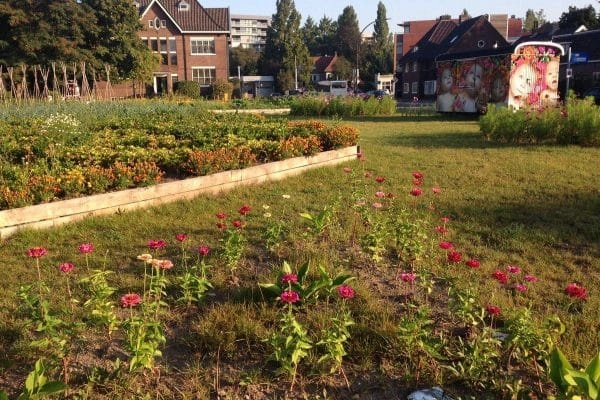 Woonbuurt aan de Marskant