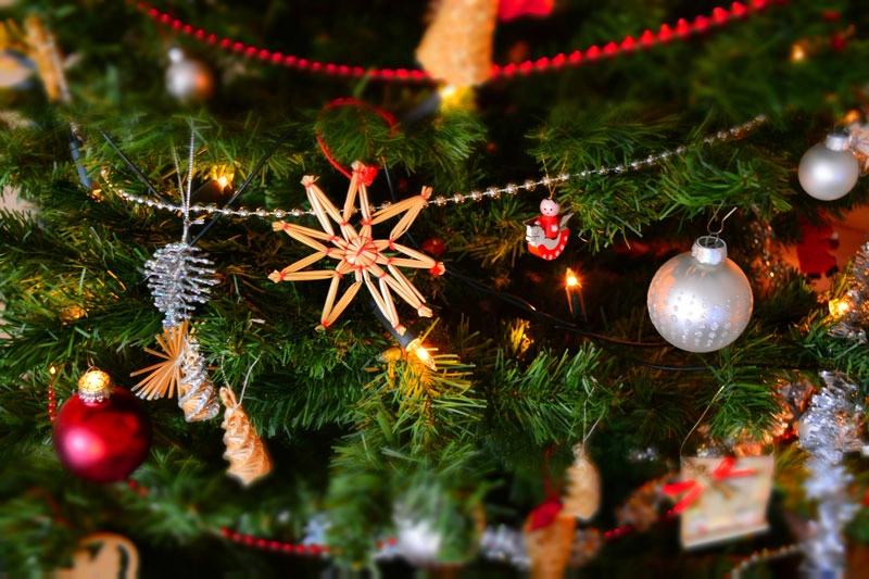Het fonkelt in de binnenstad! 170 verlichte kerstbomen 🎄