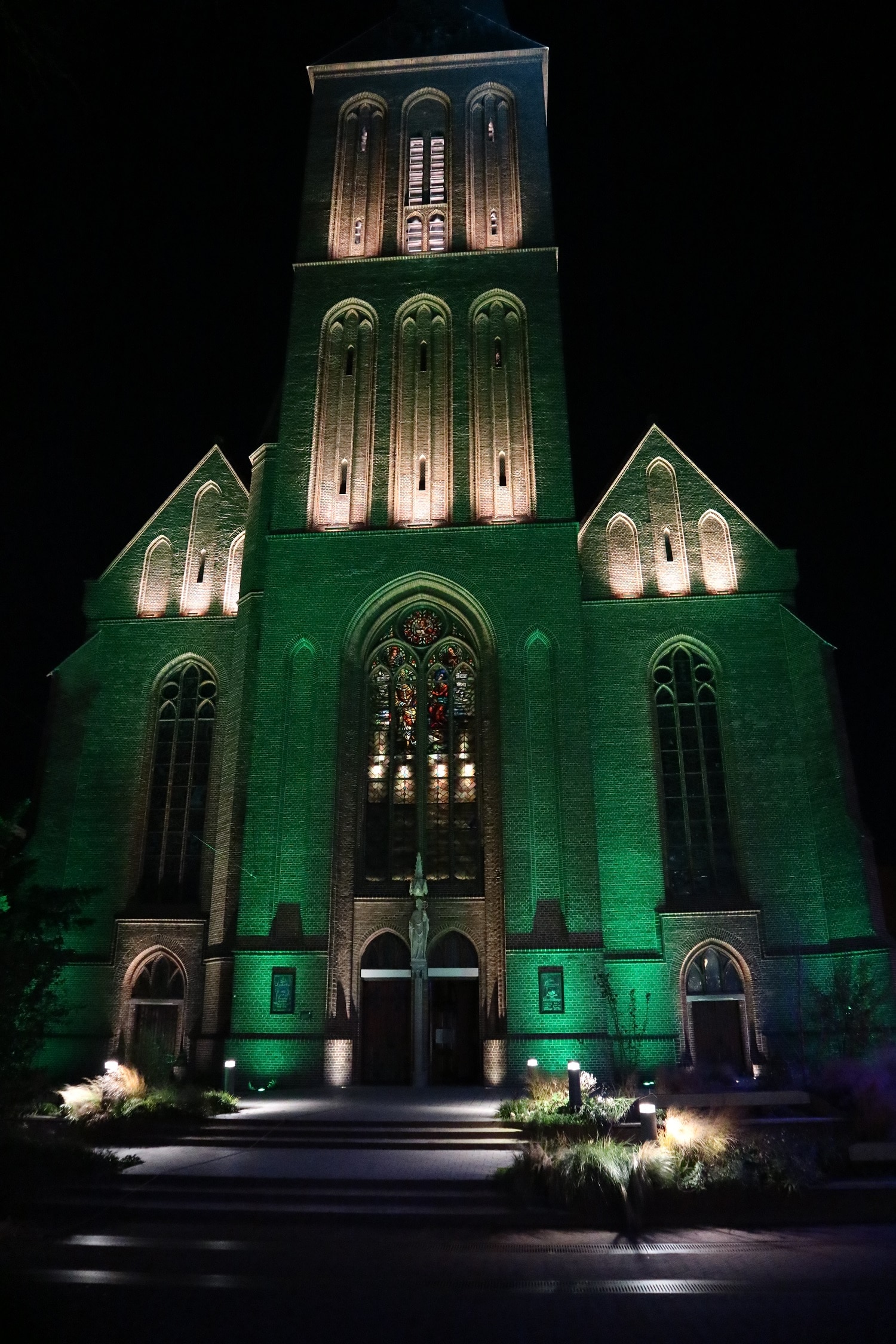 lambertusbasiliek in groen licht