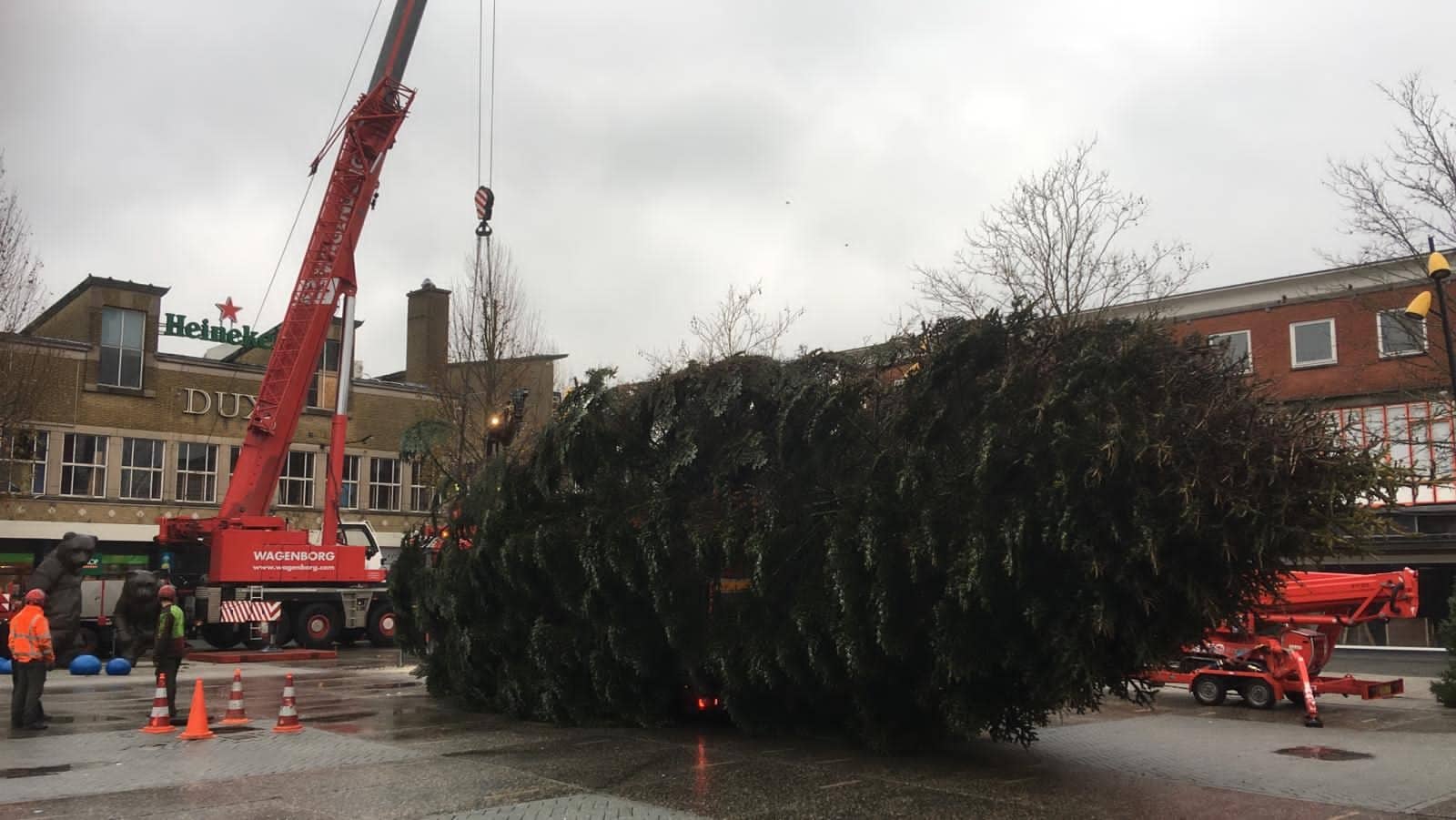 kerstboom wordt vervoerd in de stad