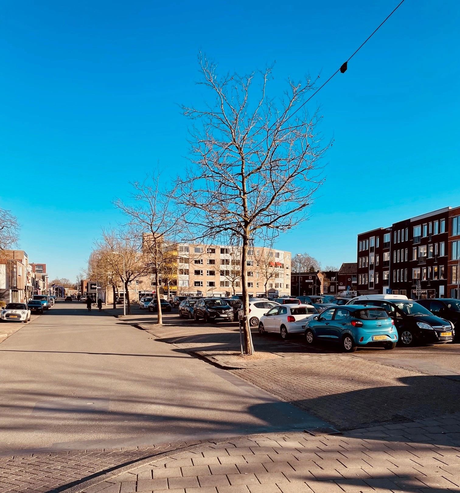 Start bomenkap rondom De Wetstraat